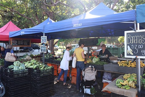 Byron Farmers Market
