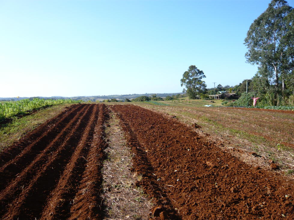 Tweed Shire Council sustainable agriculture