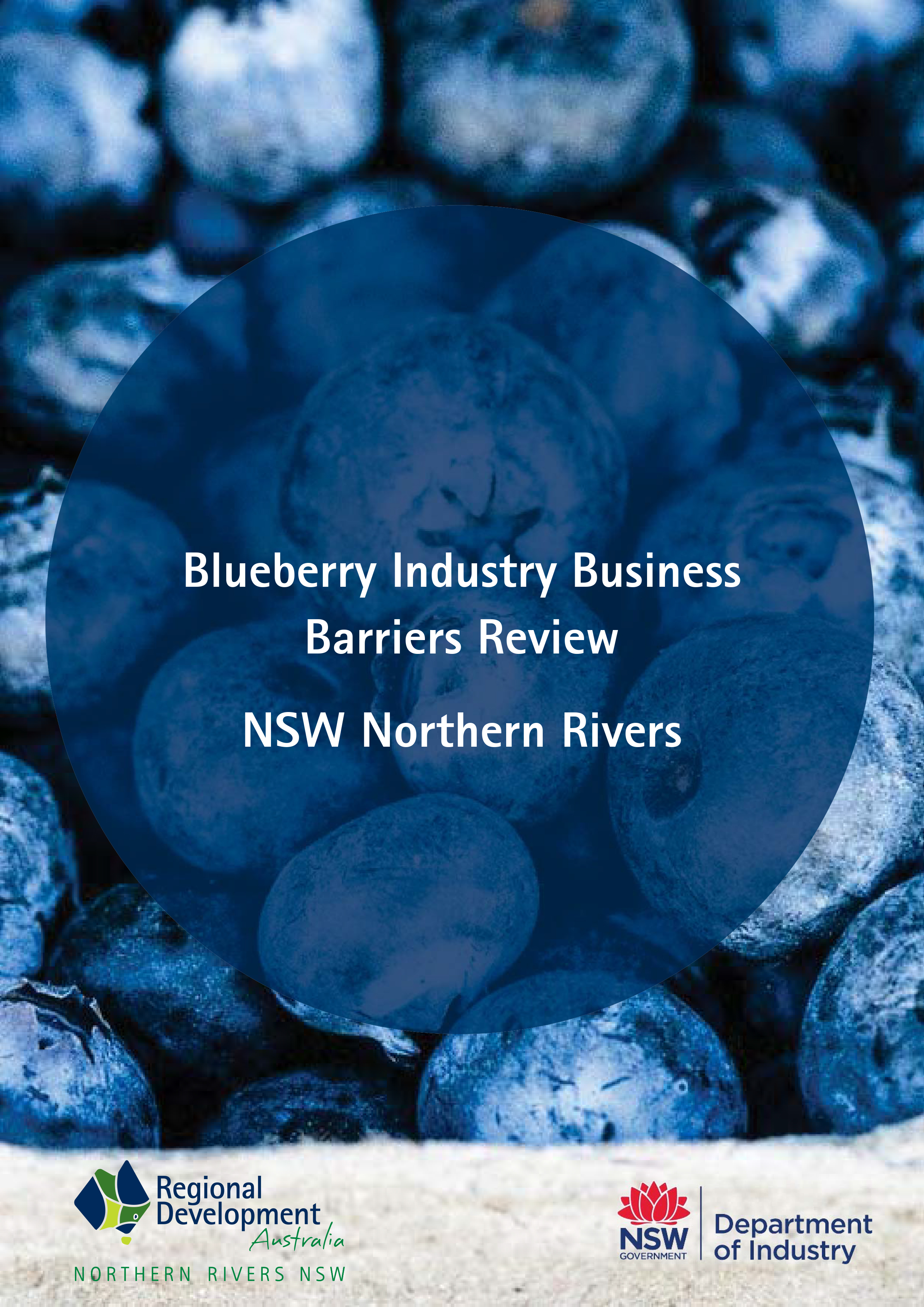 Blueberry industry business barriers review – Northern Rivers NSW