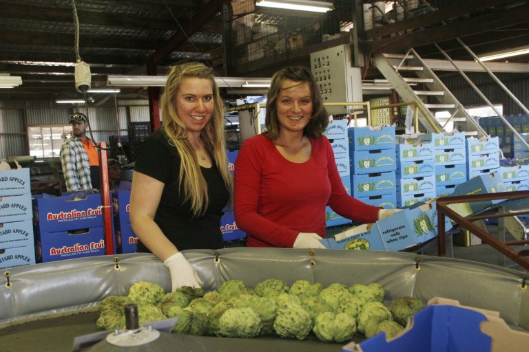 Regional Economic Recovery Plan 2025 - MG 6584