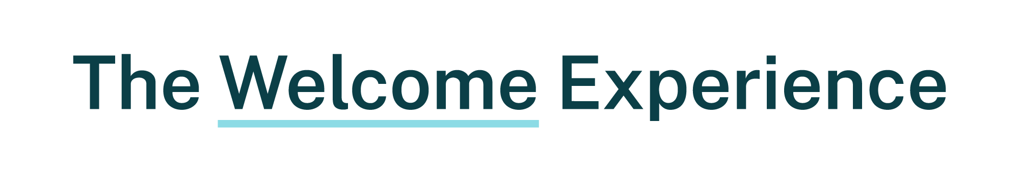 TheWelcomeExperience_Logofiles_RGB_TheWelcomeExperience_SingleLine_Col The Welcome Experience branded header has the words The Welcome Experience